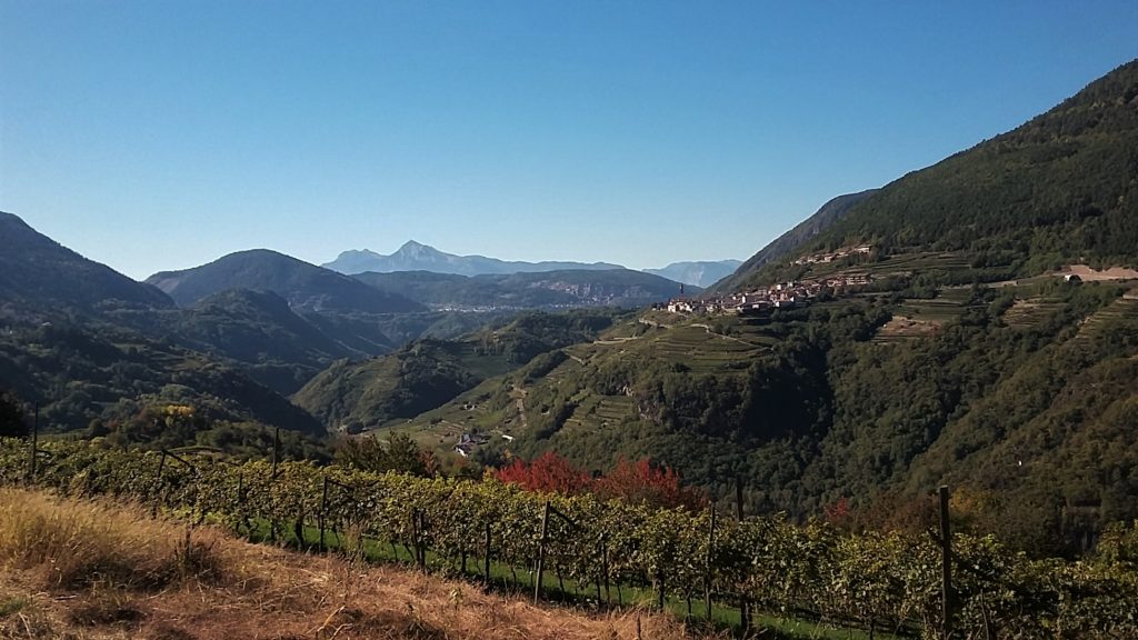 Caneve Aperte Val di Cembra 2017