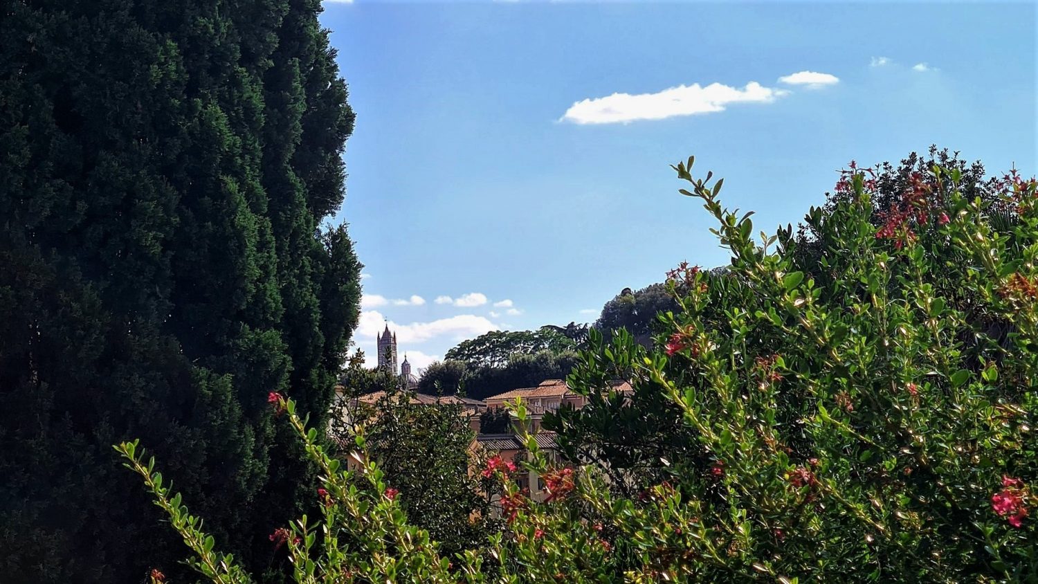 Dove si trova Borgo Grondaie